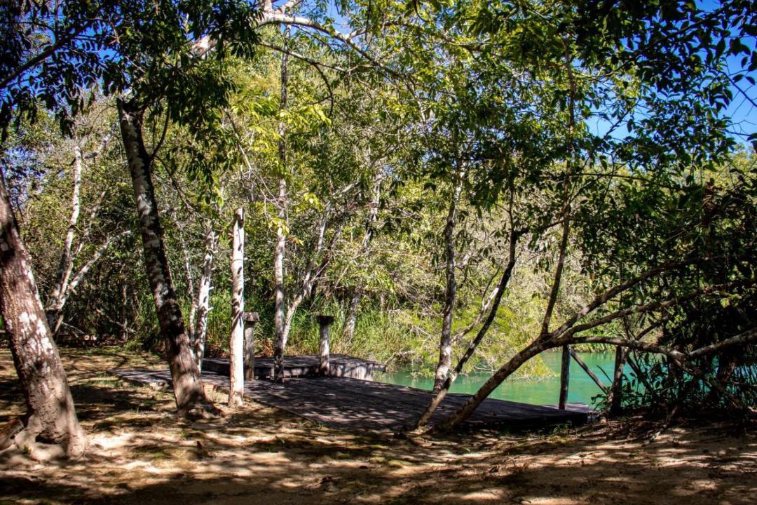 Photo of Others in Bonito