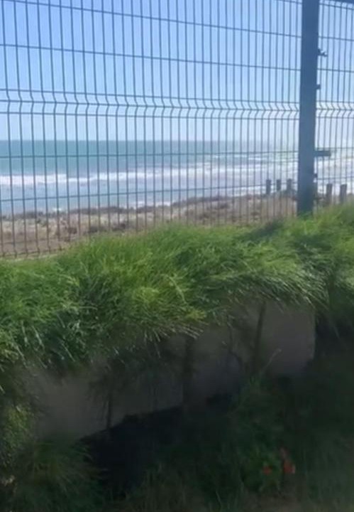Photo of Others in Tibau