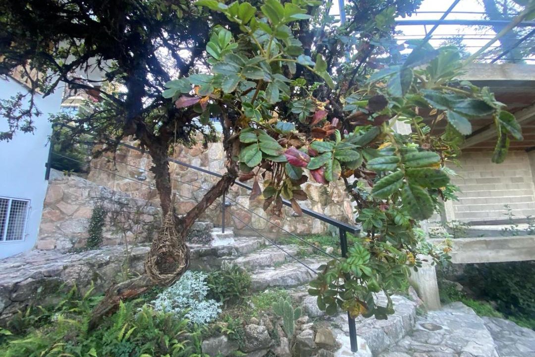 Photo of Others in La Cumbrecita