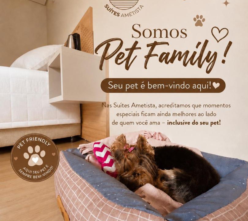Photo of Others in Ametista do Sul