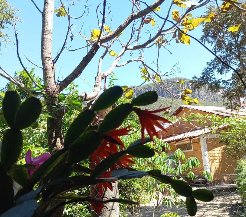 Photo of Others in Cavalcante