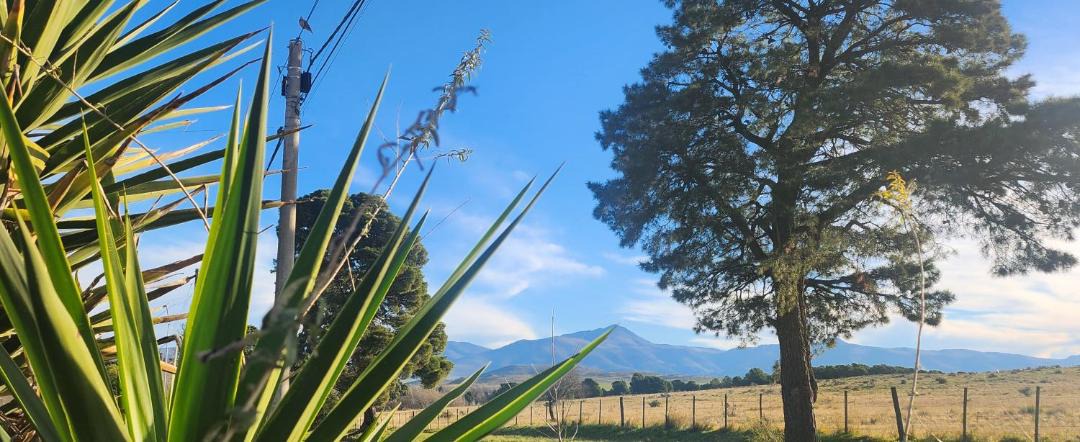 Photo of Others in Sierra de la Ventana
