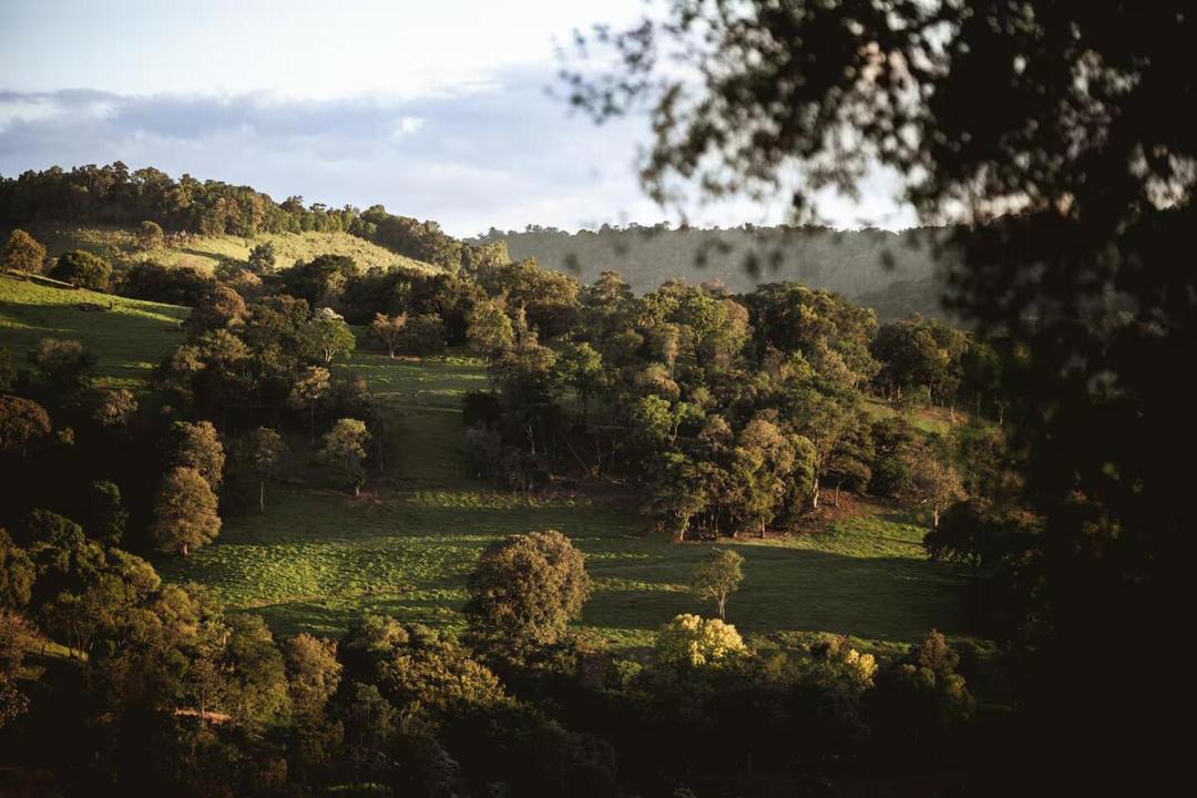Photo of Others in Cordilheira Alta
