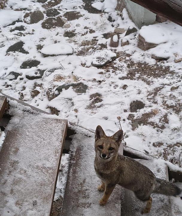 Photo of Others in Potrerillos