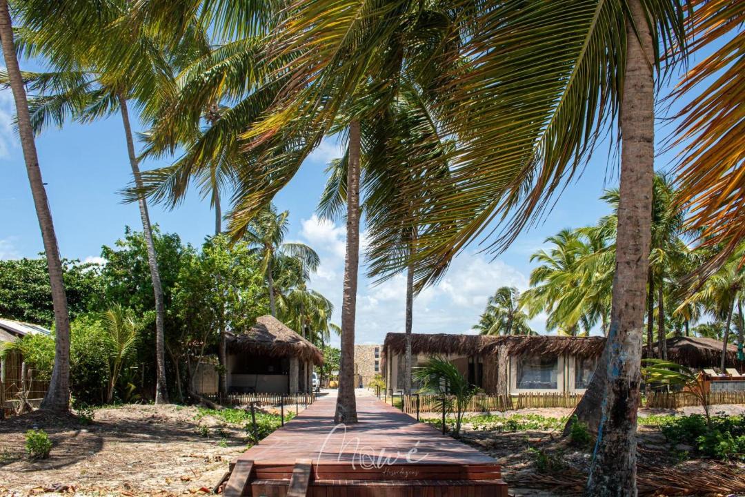 Photo of Others in Tatuamunha