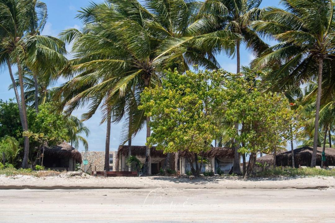 Photo of Buildings in Tatuamunha