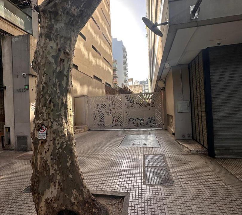Photo of Others in Palermo