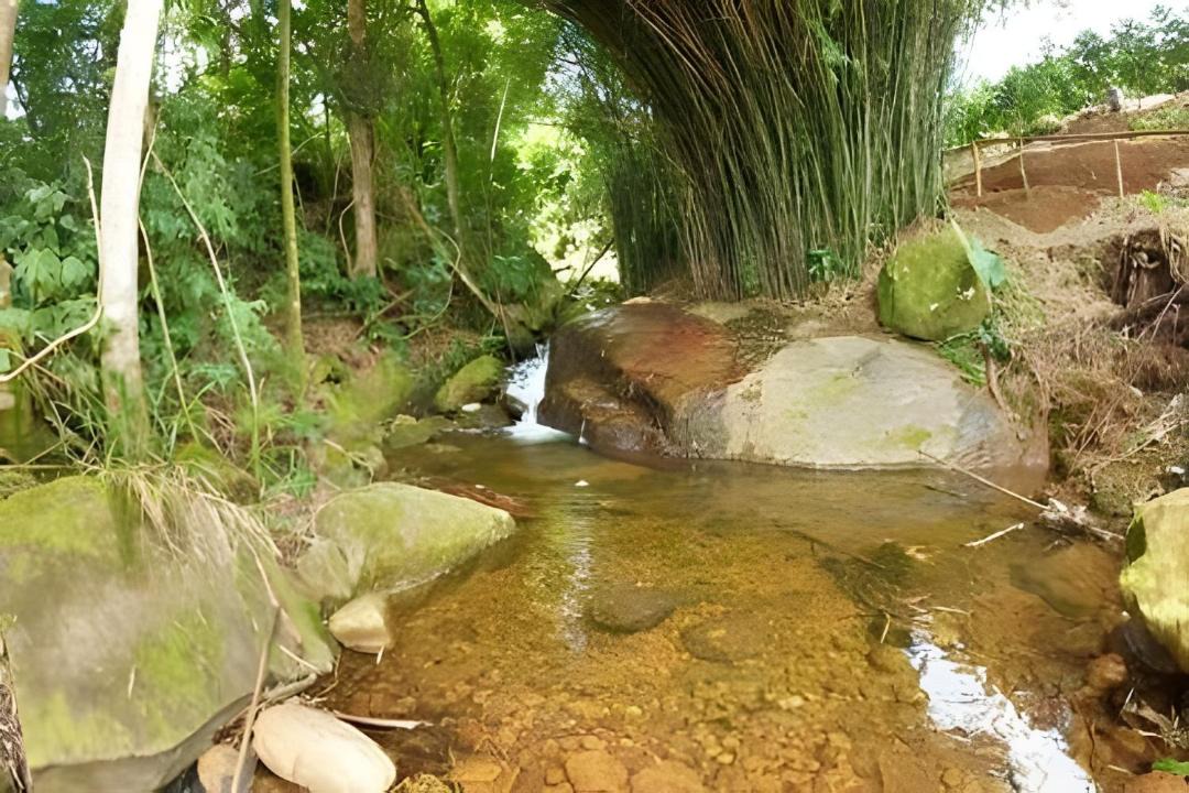 Photo of Others in Dores do Rio Preto