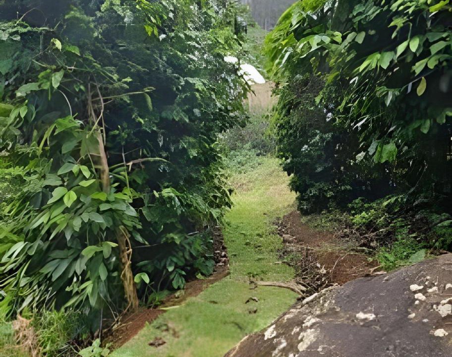 Photo of Outdoor in Dores do Rio Preto