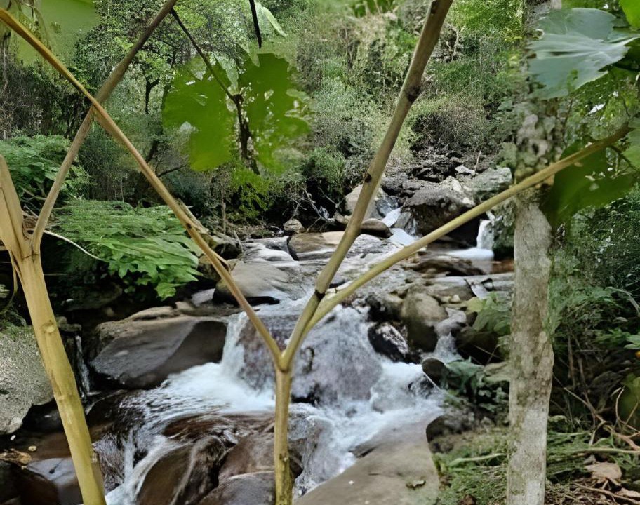 Photo of Others in Dores do Rio Preto