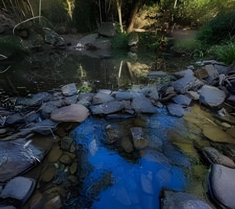 Photo of Others in Dores do Rio Preto