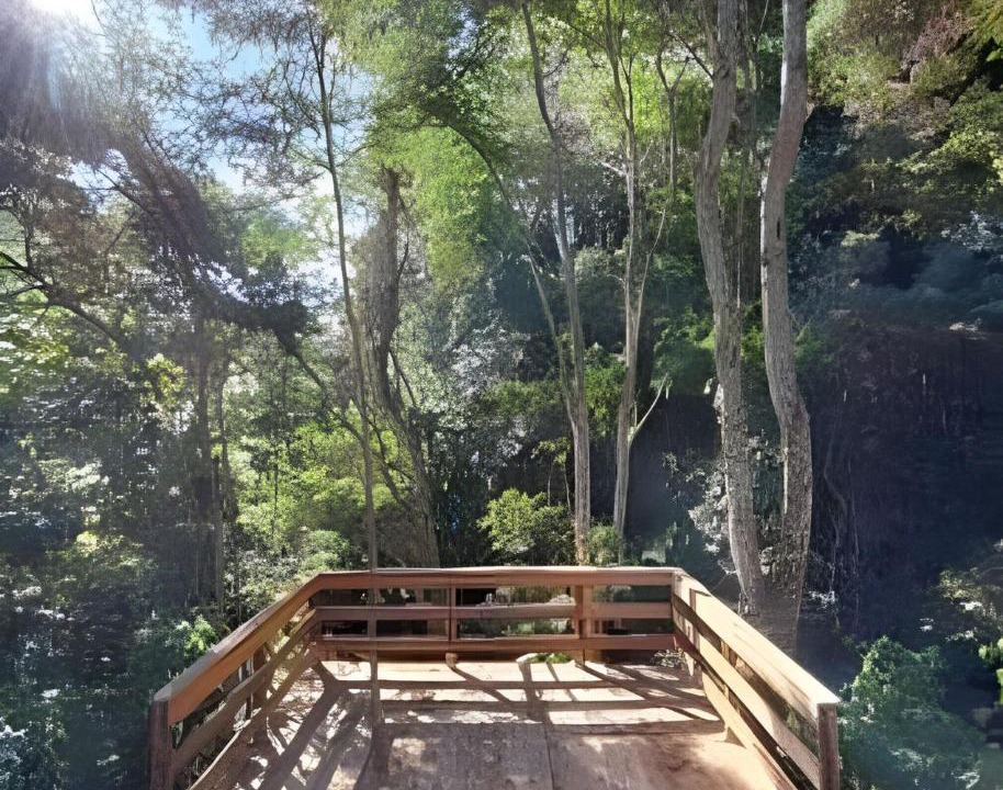 Photo of Others in Dores do Rio Preto