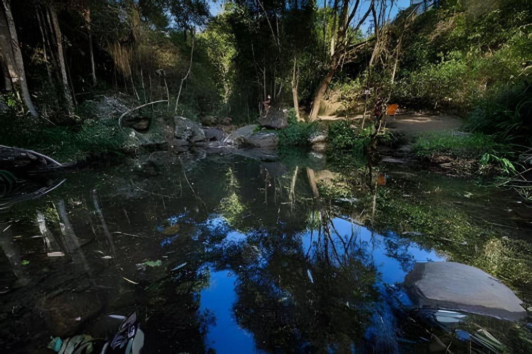 Photo of Others in Dores do Rio Preto