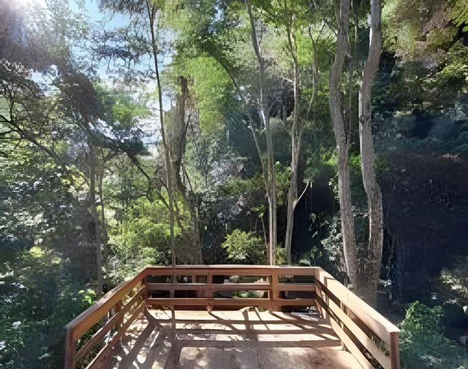 Photo of Others in Dores do Rio Preto