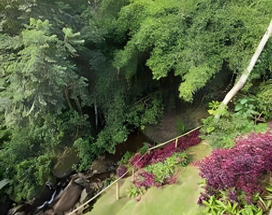 Photo of Others in Dores do Rio Preto