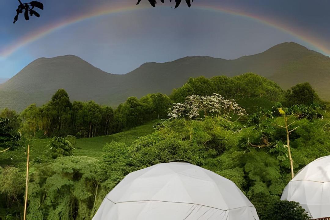 Photo of Others in Dores do Rio Preto