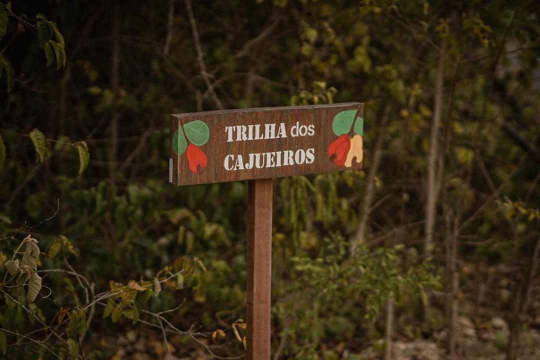 Photo of Others in Cerro Cora