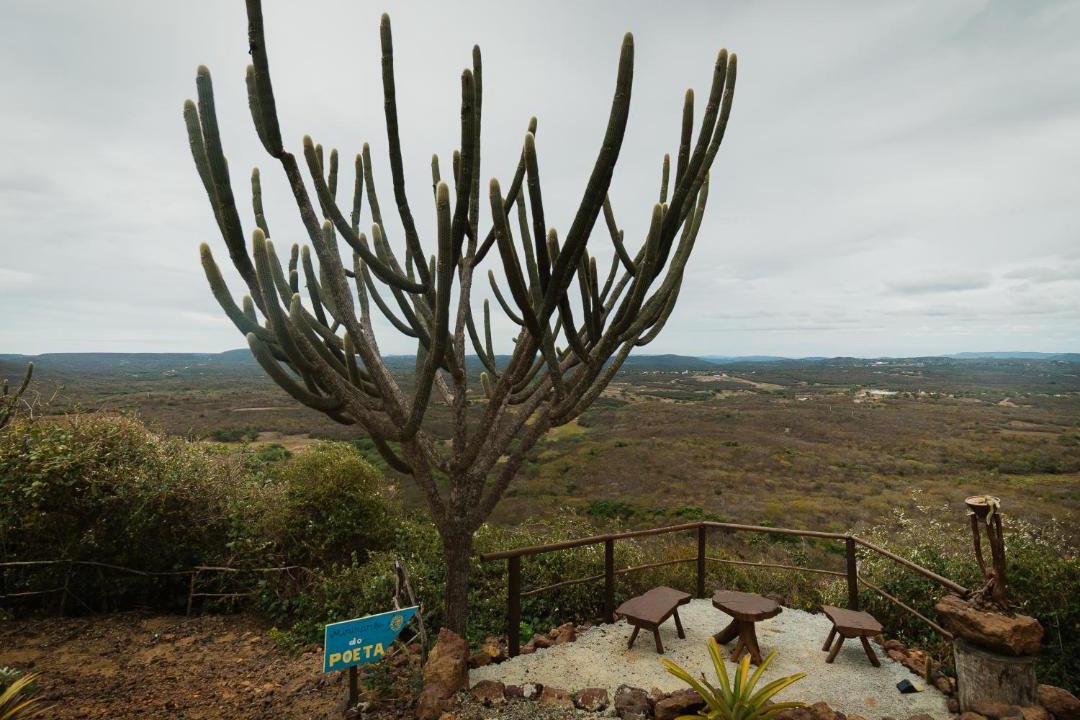 Photo of Others in Cerro Cora