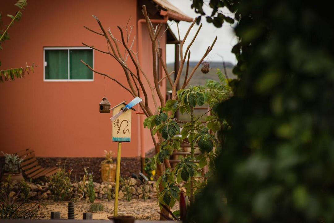 Photo of Others in Cerro Cora