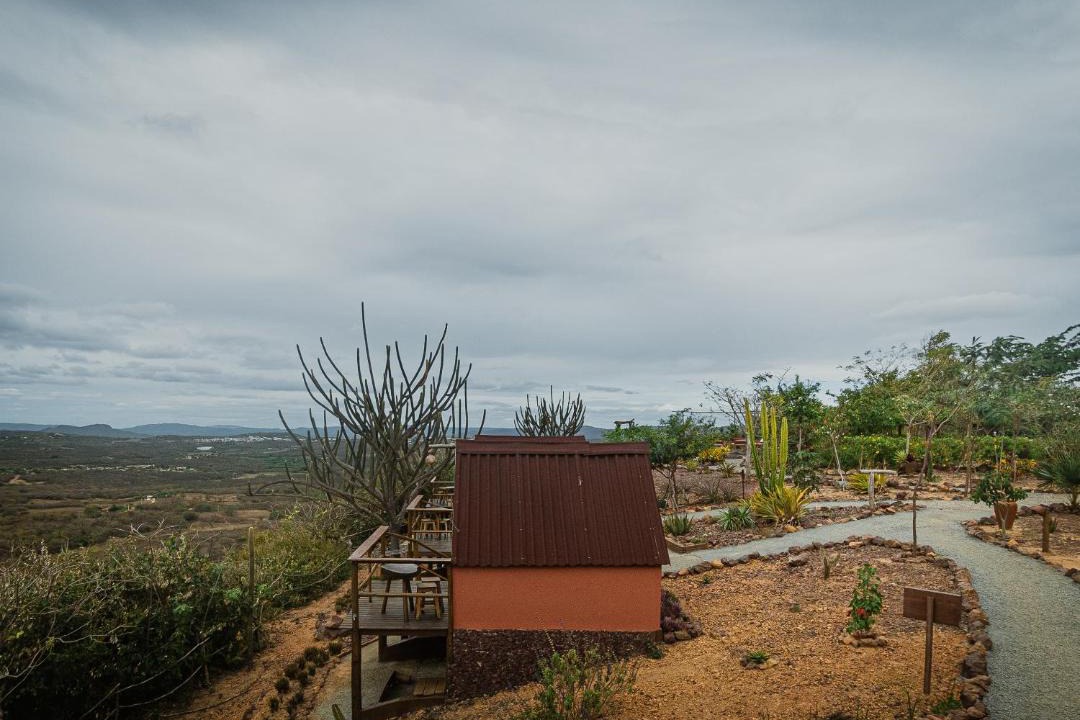 Photo of Others in Cerro Cora