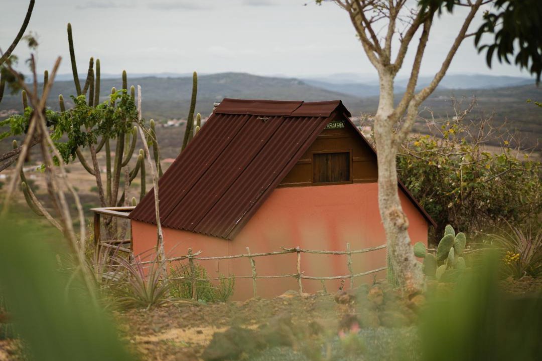 Photo of Others in Cerro Cora