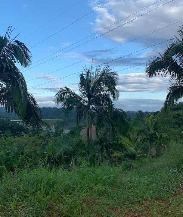 Photo of Others in Pariquera-Acu