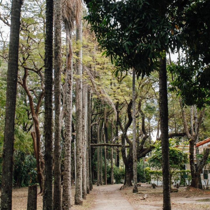 Photo of Others in Corrientes