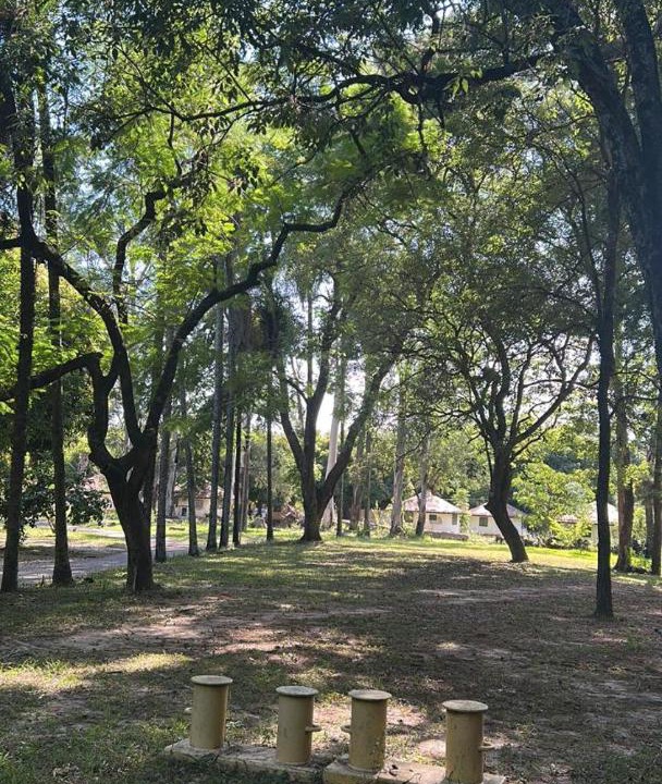 Photo of Others in Corrientes