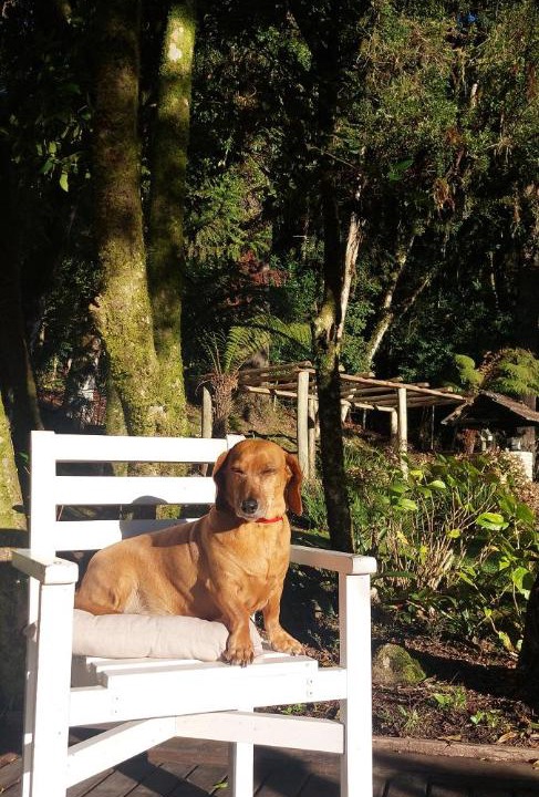 Photo of Others in Mato Queimado