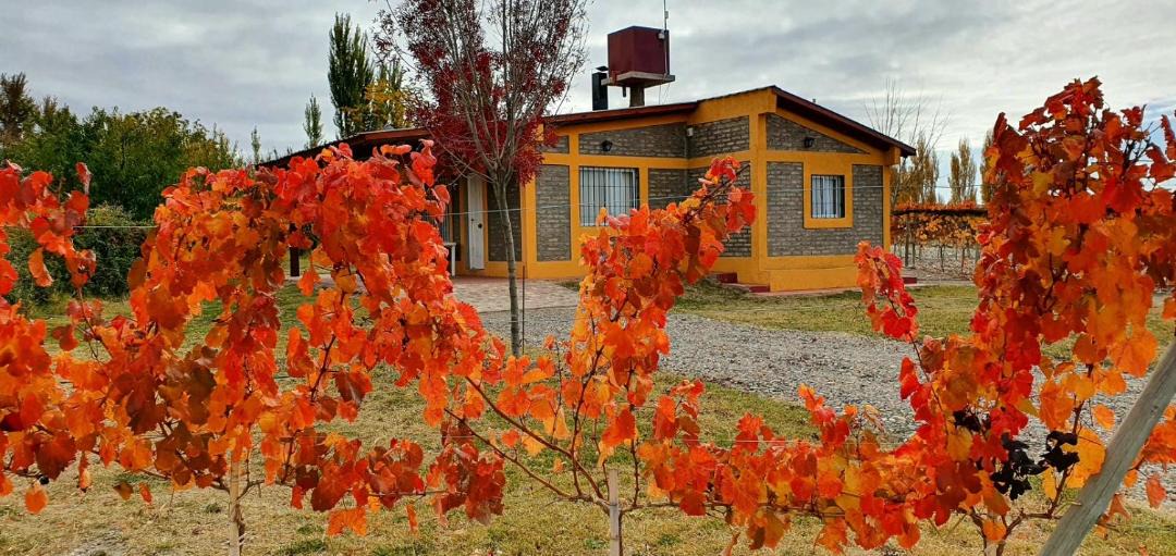 Photo of Others in Tupungato