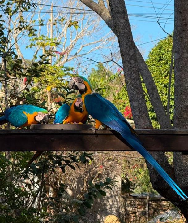 Photo of Others in Alto Paraiso de Goias