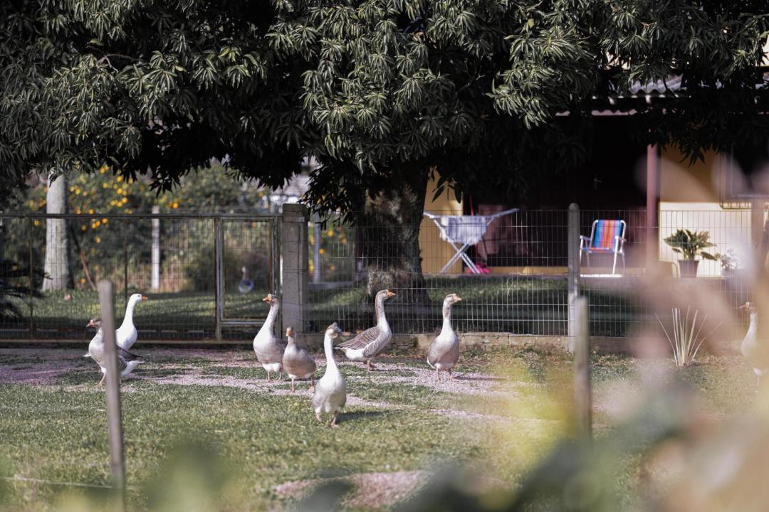 Photo of Others in Guaiba
