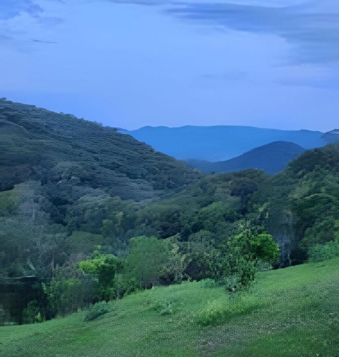 Photo of Others in Santo Amaro da Imperatriz