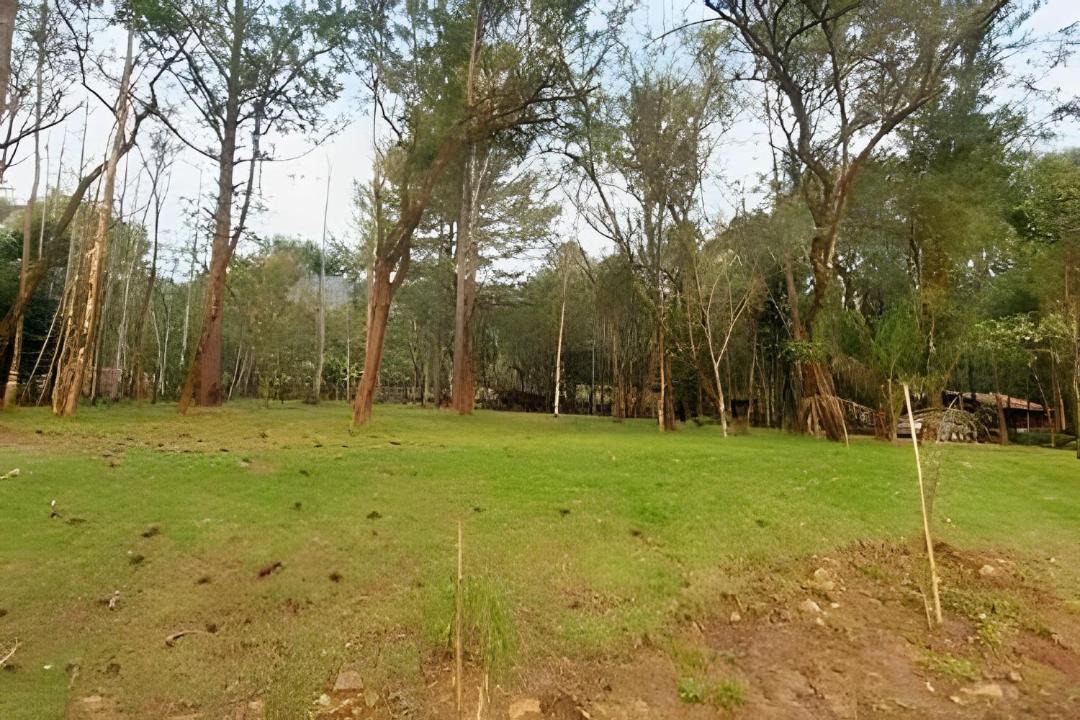 Photo of Others in Tres Coroas