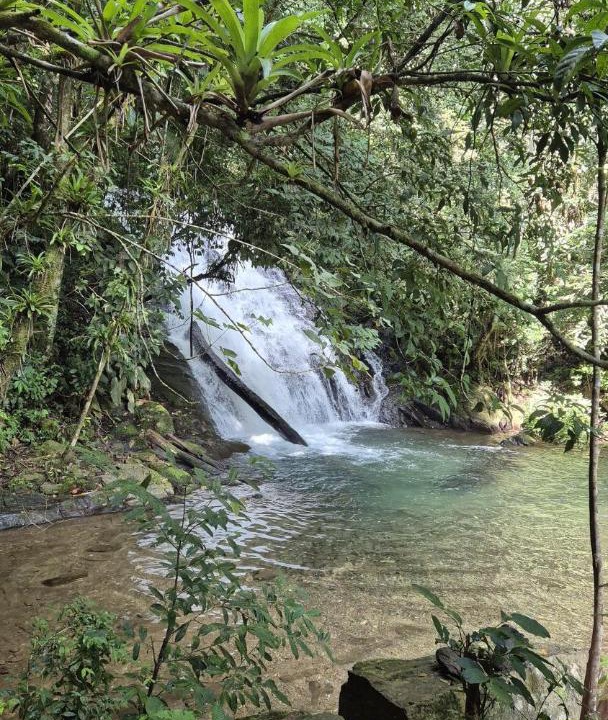 Photo of Others in Iporanga