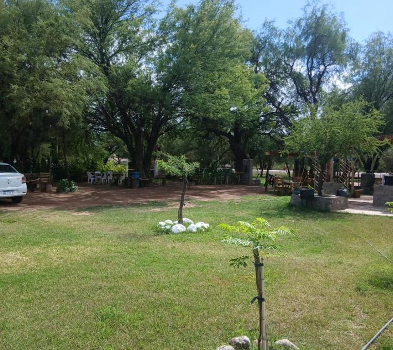 Photo of Others in Tinogasta