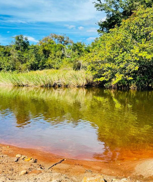 Photo of Others in Sao Goncalo do Rio das Pedras