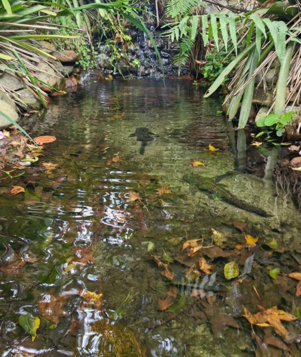 Photo of Others in Suzano