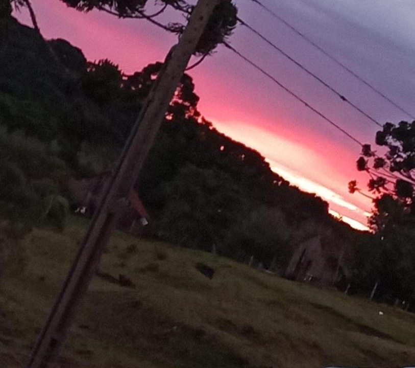 Photo of Others in Campo Alegre