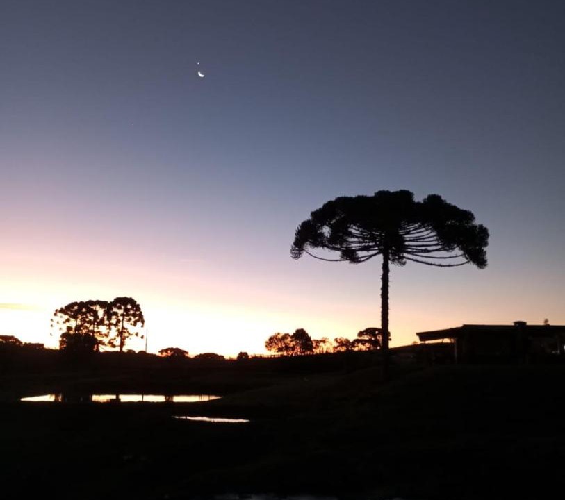 Photo of Others in Campo Alegre