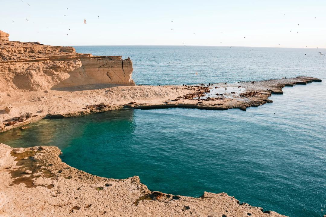 Photo of Others in Puerto Madryn