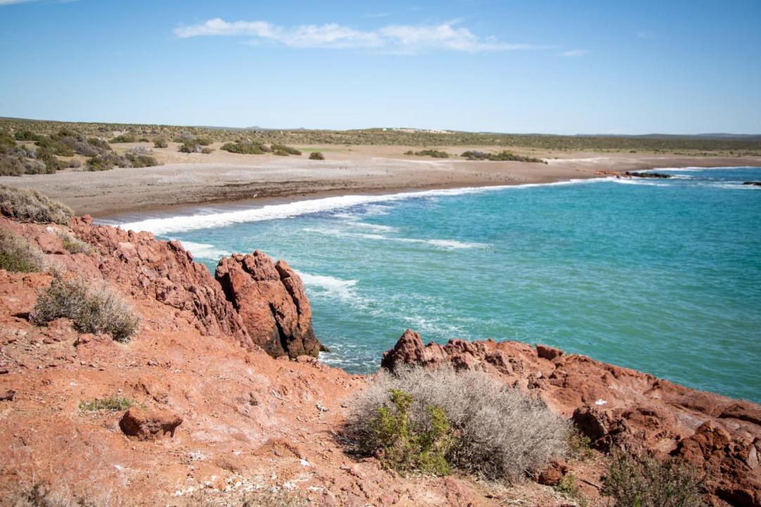 Photo of Others in Puerto Madryn