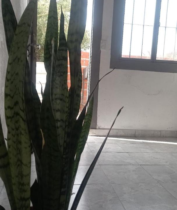 Photo of Others in Cafayate