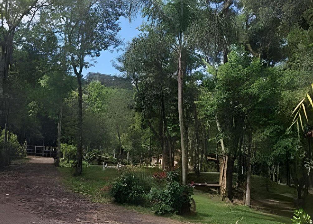 Photo of Others in Tres Coroas