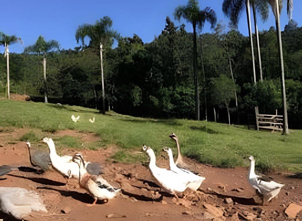 Photo of Others in Tres Coroas