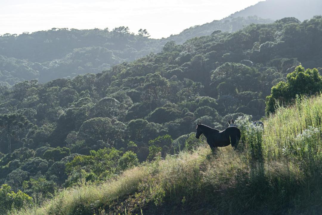 Photo of Others in Rancho Queimado