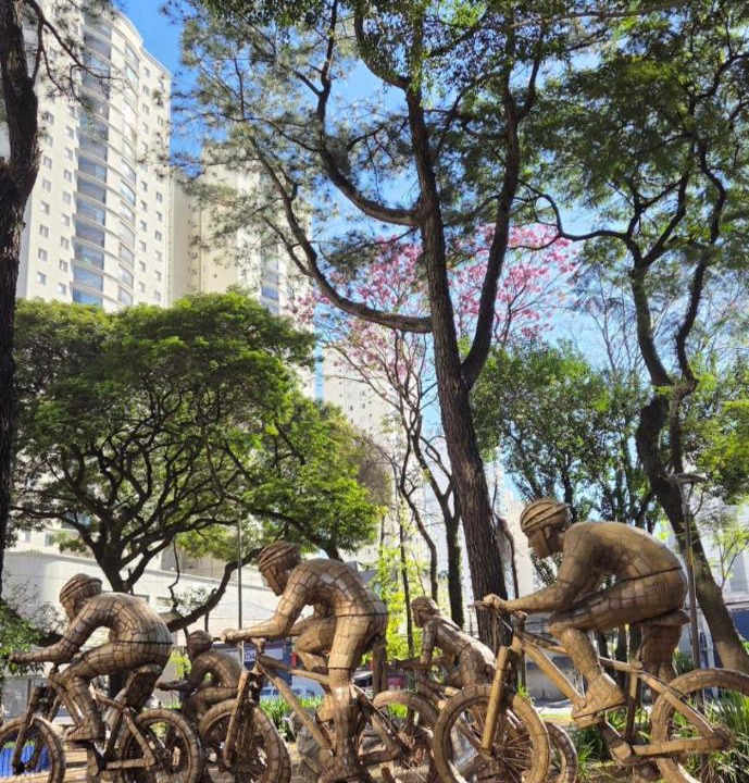 Photo of Others in Guarulhos City Centre
