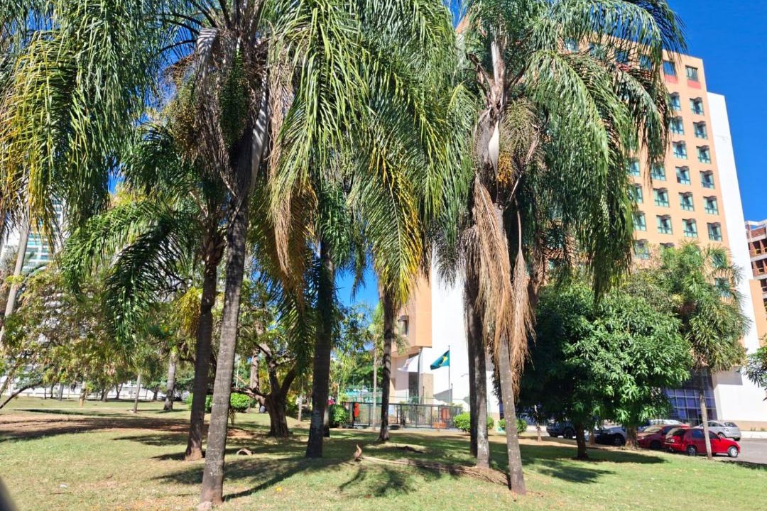 Photo of Others in Taguatinga