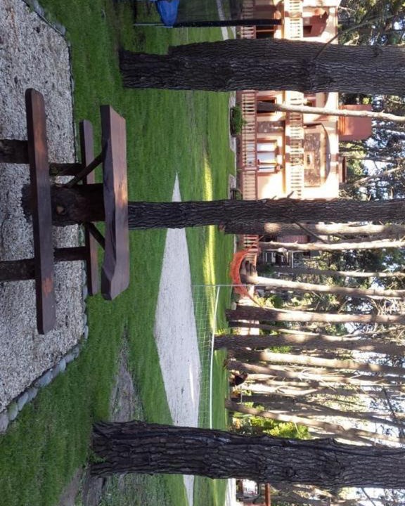 Photo of Others in Mar de Las Pampas