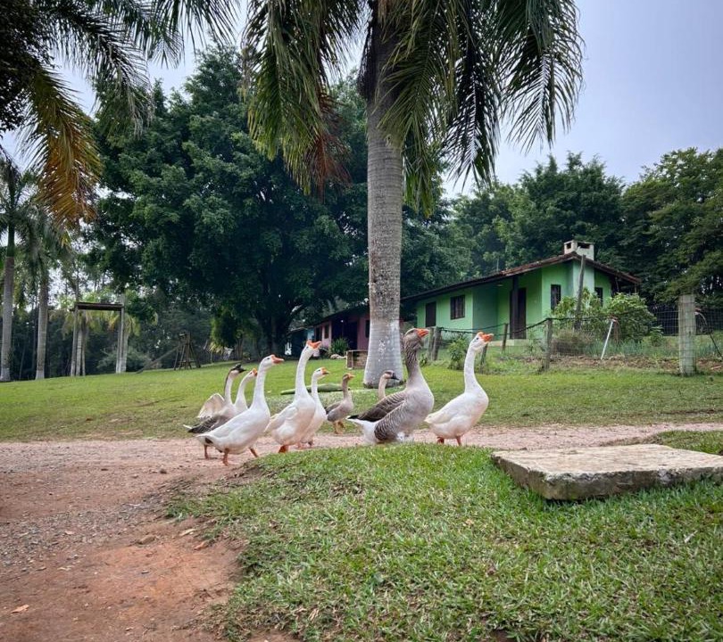 Photo of Others in Jarinu